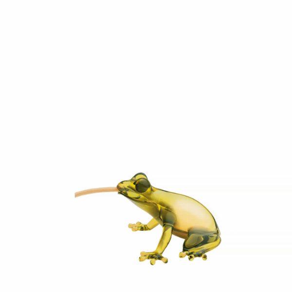 Hungry Frog Lamp