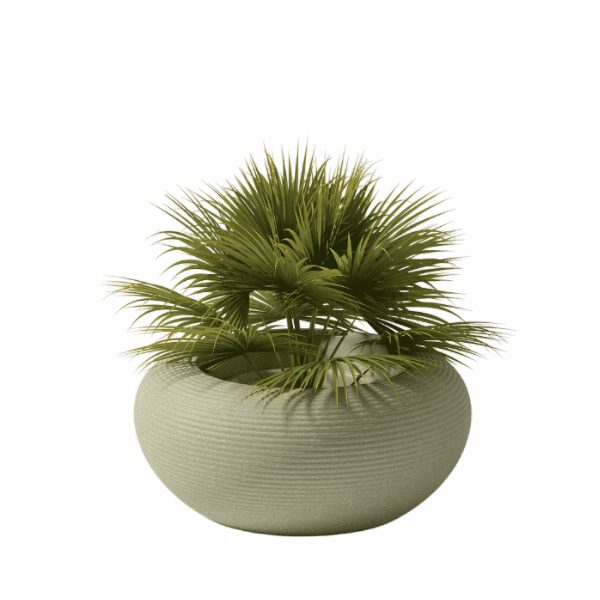 Nami Planter Mix