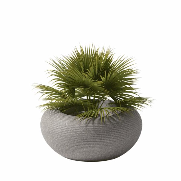 Nami Planter Mix