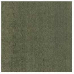 Soft Elegance – AMALIA LIGHT GREEN High Pile Area Rug for Large Living Room Spaces