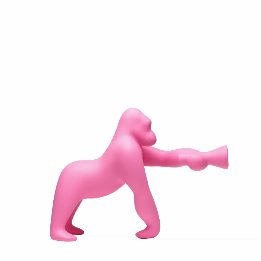 Kong XS