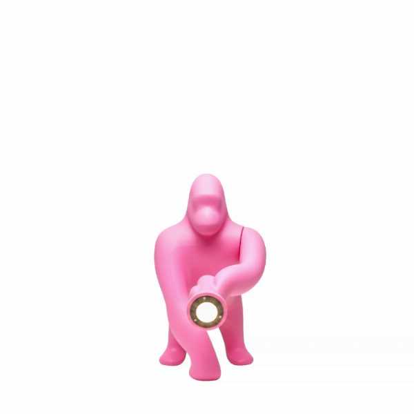 Kong XS