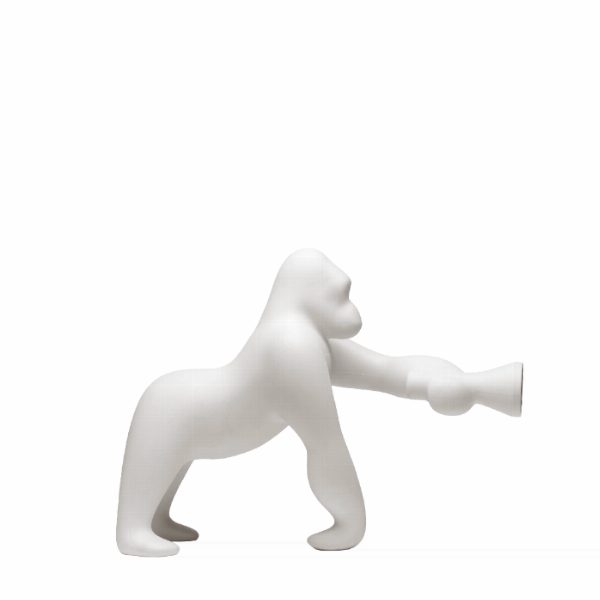 Kong XS