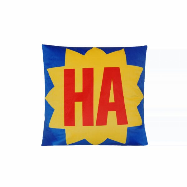 HA cushion