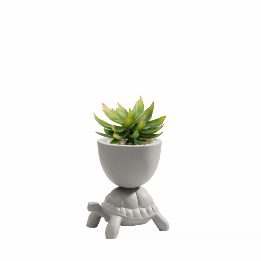 Turtle Carry XS Ceramic Planter