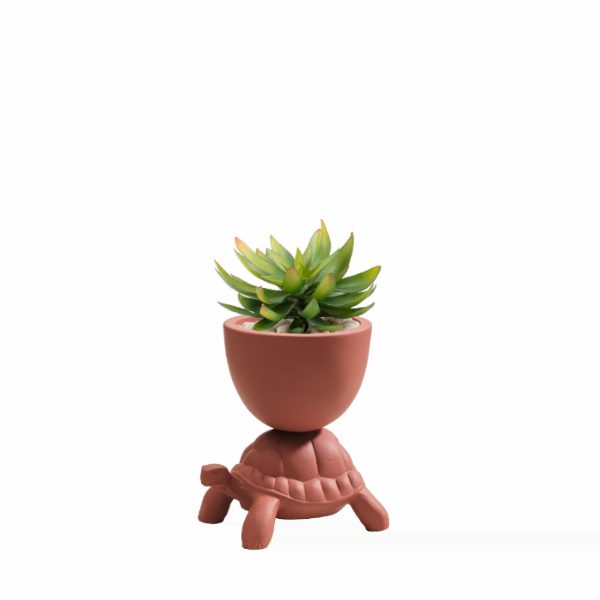 Turtle Carry XS Ceramic Planter