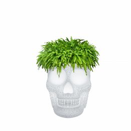 Mexico Planter and Champagne Cooler Lamp with Rechargeable Led
