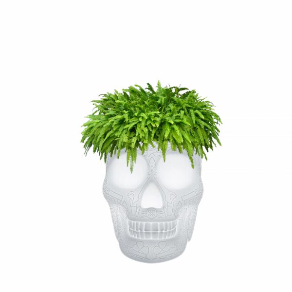Mexico Planter and Champagne Cooler Lamp with Rechargeable Led