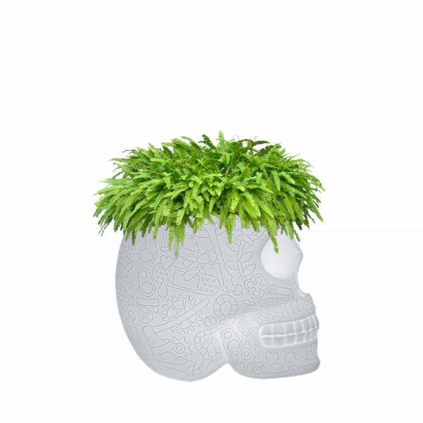 Mexico Planter and Champagne Cooler Lamp with Rechargeable Led