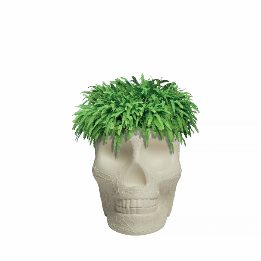 Mexico Planter and Champagne Cooler