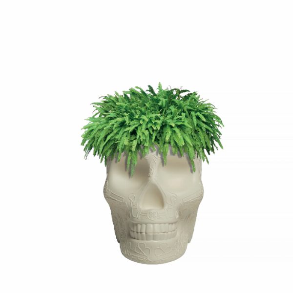 Mexico Planter and Champagne Cooler
