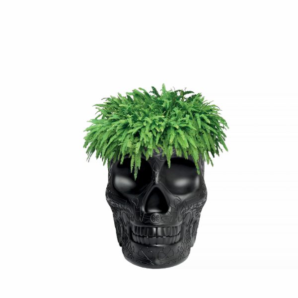 Mexico Planter and Champagne Cooler
