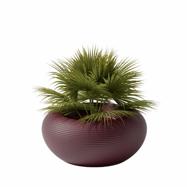 Nami Planter