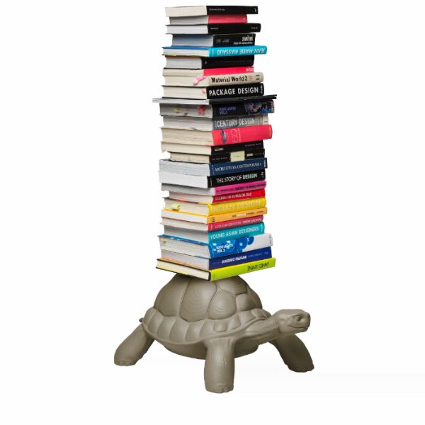 Turtle Carry Bookcase