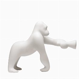 Kong