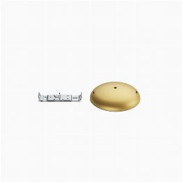 Gold ceiling rose assembly