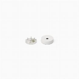 White ceiling rose assembly