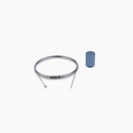 Skynest Motion Light blue ceiling rose and steel cable assembly