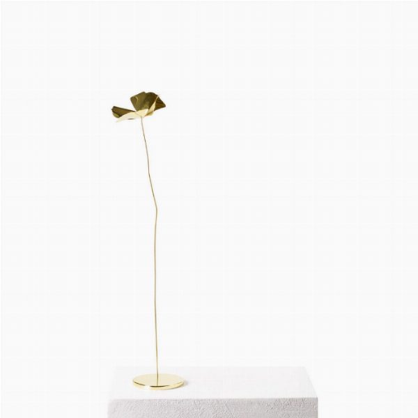 Papavero Delicato S ottone - piccolo
