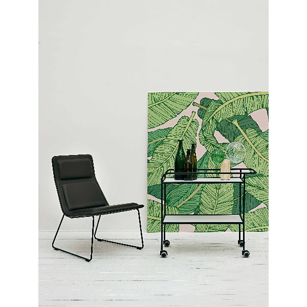 Steel Pipe Drink Trolley