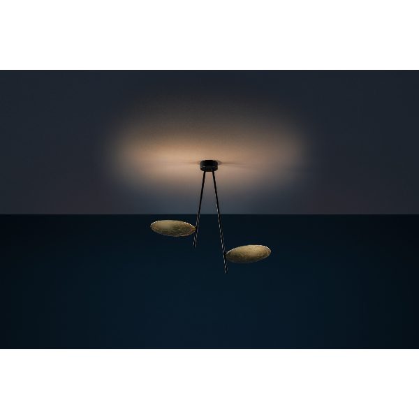 Lederam C2 lampada da soffitto
