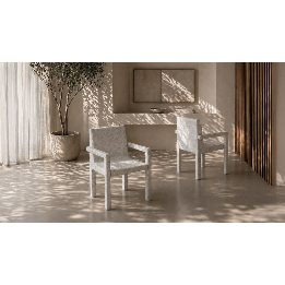 Cassia sedia