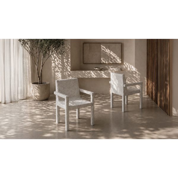 Cassia sedia