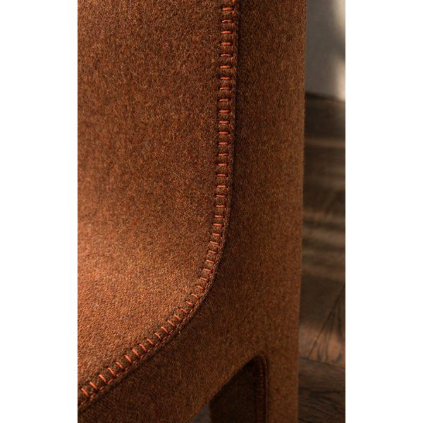 Cassia sedia