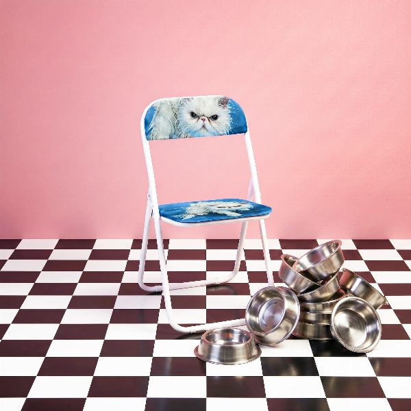 Toiletpaper Pets Folding Chair Angry Cat
