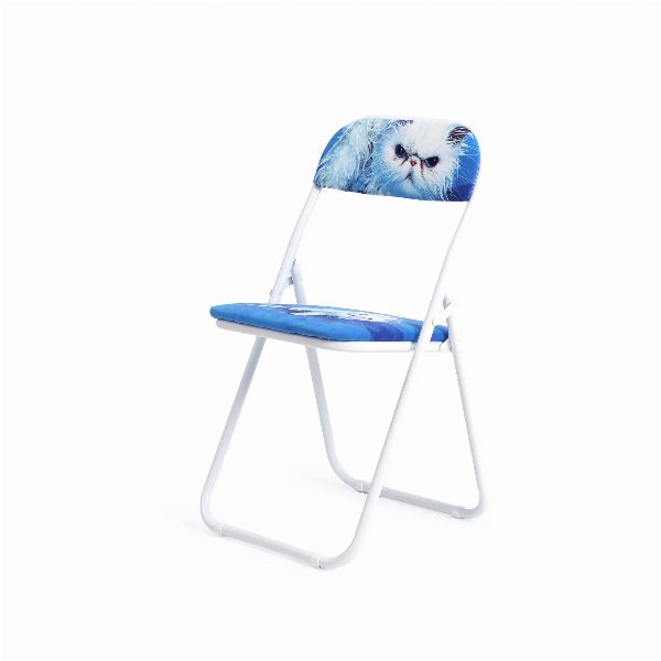 Toiletpaper Pets Folding Chair Angry Cat