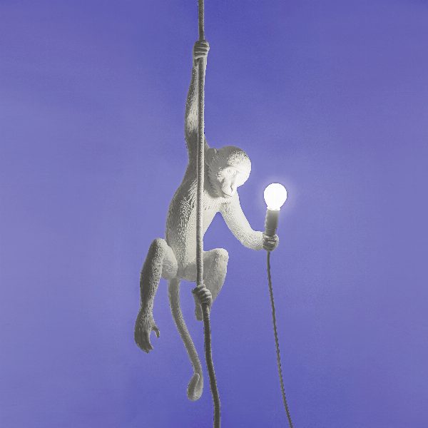 Monkey Lamp Versione dal Soffitto