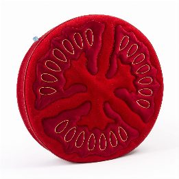 Cuscino Tomato