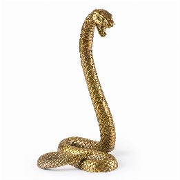 Wunderkammer Snake