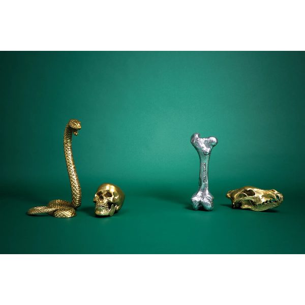 Wunderkammer Snake