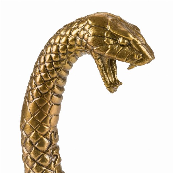Wunderkammer Snake