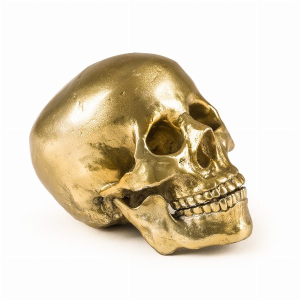 Wunderkammer Human Skull