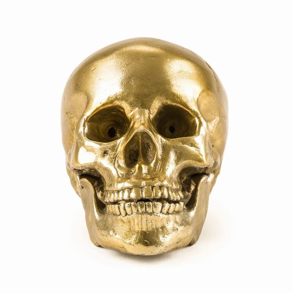 Wunderkammer Human Skull