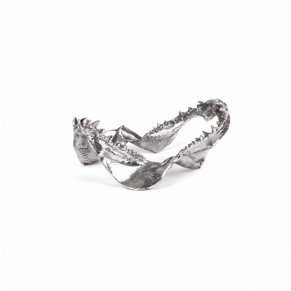 Wunderkammer Shark Jaw