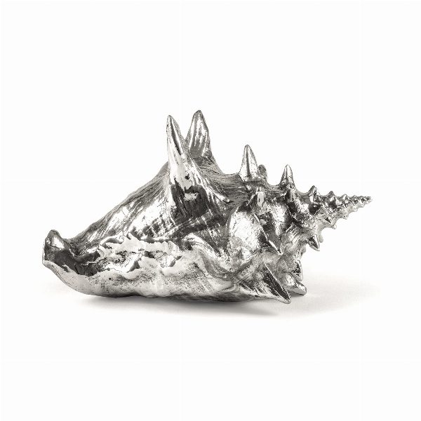 Wunderkammer Shell