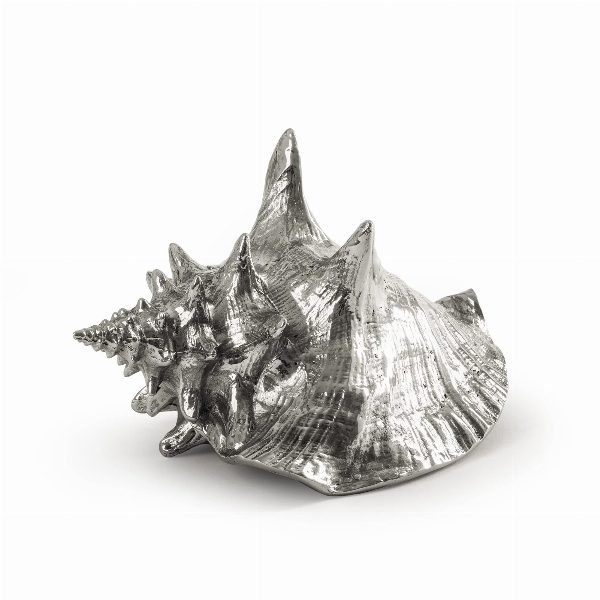 Wunderkammer Shell