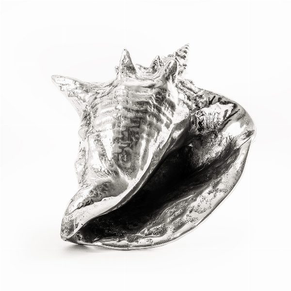 Wunderkammer Shell