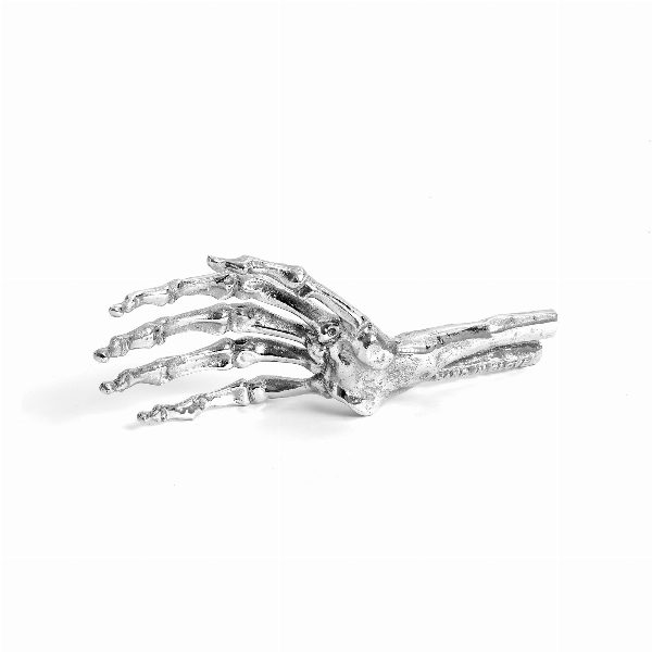 Wunderkammer Skeleton Hand