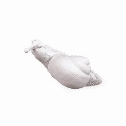 Appendiabiti Snail Awake
