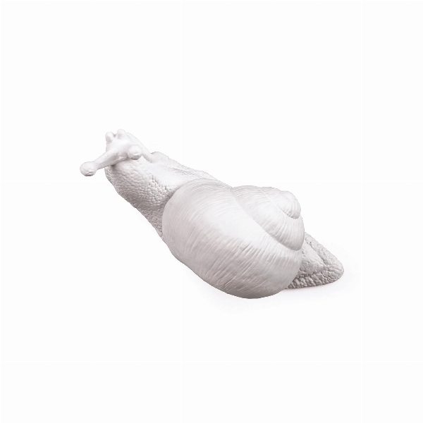 Appendiabiti Snail Awake