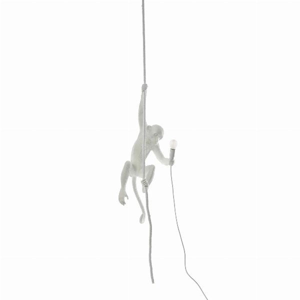 Monkey Lamp Ceiling da Esterno