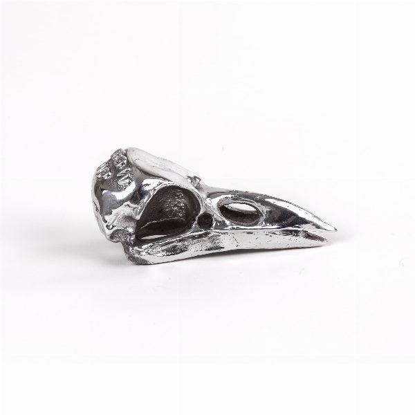 Wunderkammer Bird Skull