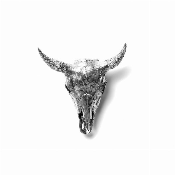 Wunderkammer Bison Skull