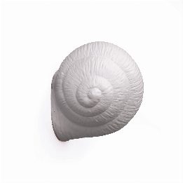 Appendiabiti Snail Sleepy