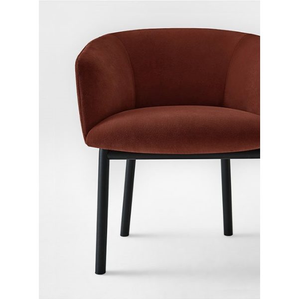 Livrette poltroncina