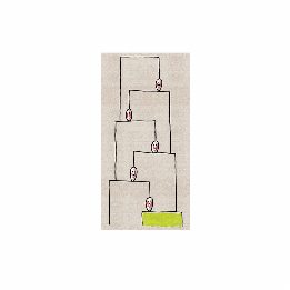 Human Shelves tappeto